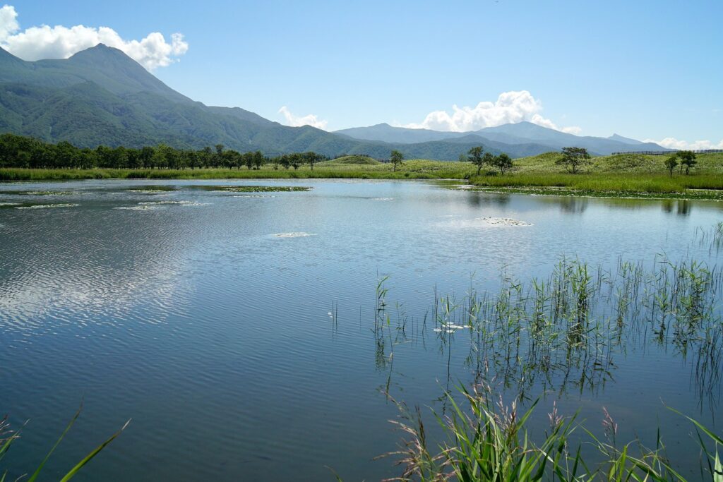 知床連山を背に水草が茂る知床五湖の一湖