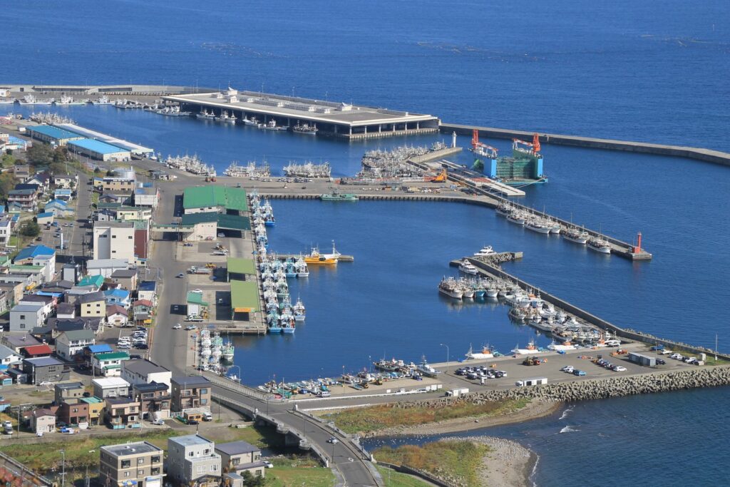高台から見下ろす羅臼の港と町並み