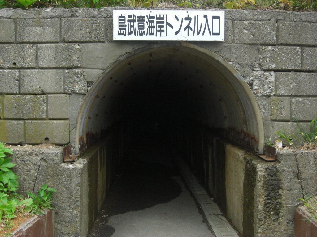 「島武意海岸トンネル入口」の看板が掲げられた石積みのトンネル