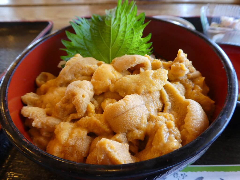 器いっぱいに生ウニが盛られた積丹のうに丼
