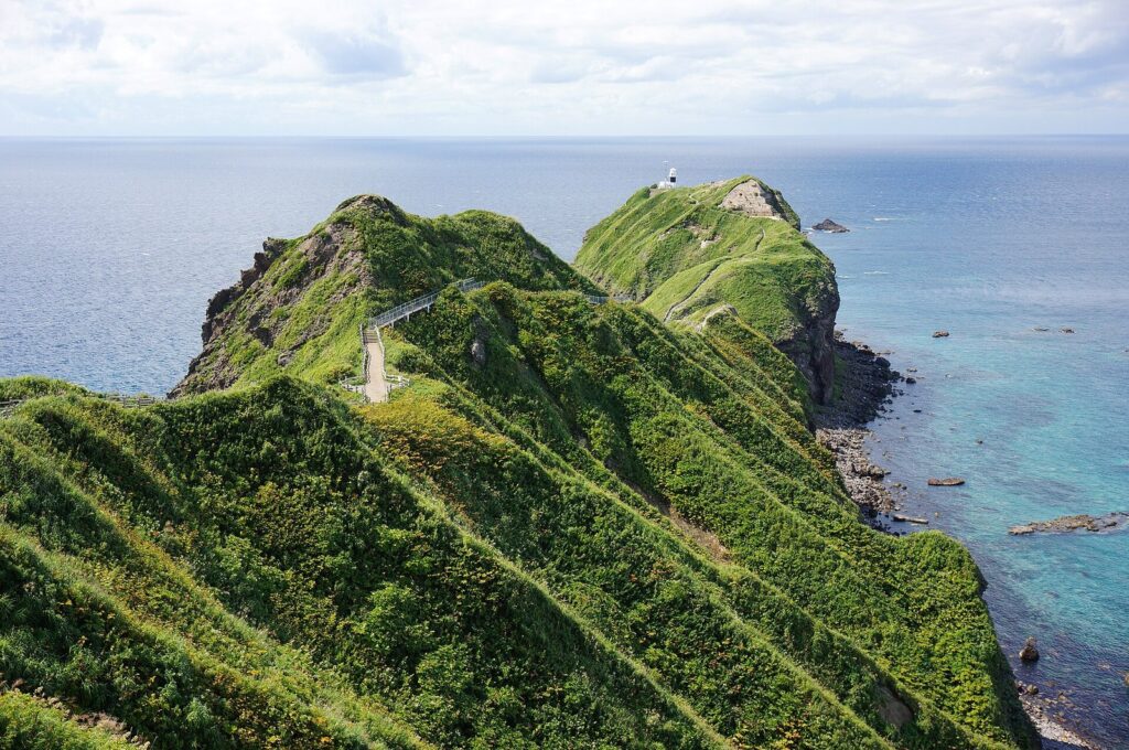 緑の尾根の上を岬の先端と灯台へ続く遊歩道
